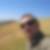 Profilbild von Mathias Rickhoff