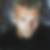 Profilbild von Markos Reians
