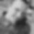 Profilbild von Jason Losch