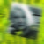 Profilbild von Silke Nitschmann