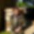 Profilbild von Anemone Stamaitat