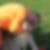 Profilbild von Andreas Block