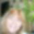 Profilbild von Alexandra Wolfgramm