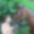 Profilbild von Stephan Will