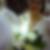 Profilbild von Susanne Lee Castillo