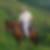 Profilbild von Andreas Lorenz