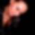 Profilbild von Maria Hapy