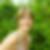 Profilbild von Dorothea Hennig