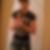 Profilbild von Kevin Grassnick