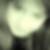 Profilbild von Daniela Neudecker