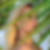 Profilbild von Stefanie Jörgensen