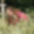 Profilbild von Anke Hamel