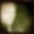 Profilbild von Peter Heidt
