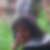 Profilbild von Andrea Durchgraf