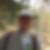 Profilbild von Markus Isele