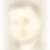 Profilbild von Wilfried Breimhorst