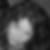 Profilbild von Dorothee Engels