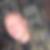 Profilbild von Mathias Reibert