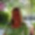 Profilbild von Simone Lieblein