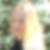 Profilbild von Nora Jacobi