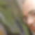 Profilbild von Oliver Kleis