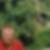 Profilbild von Richrd Dopp