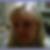 Profilbild von Diana Lübcke