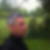 Profilbild von Steffen Schramm