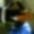 Profilbild von Conny Tayo
