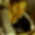 Profilbild von Birgit Stroppel