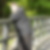 Profilbild von Martin Tonn