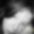 Profilbild von Jennifer Wolf