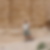 Profilbild von Marcus Path