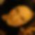 Profilbild von Marion Busse