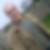 Profilbild von Thorsten Maron