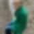Profilbild von Carolin Schröer