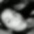 Profilbild von Shenja Becker