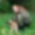 Profilbild von Verena Bromme