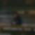 Profilbild von Martin Eying