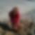 Profilbild von Regine Manthey
