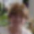 Profilbild von Silvia Zacher
