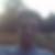 Profilbild von Asis Salamov
