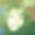 Profilbild von Wiebke Müschen