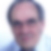 Profilbild von Ulrich Wetzel