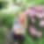 Profilbild von Silvia Happe