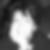 Profilbild von Ingrid Assmann