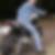 Profilbild von Michael Haase