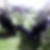 Profilbild von Michael Essers