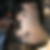 Profilbild von Renee Gradtke