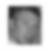 Profilbild von Michael Wittel